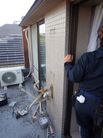 01 IMGP6682-e1732340691499